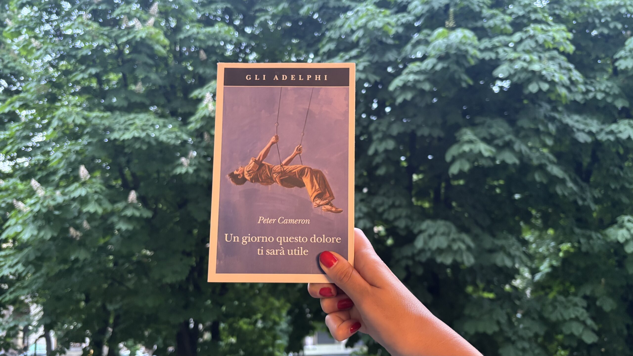Un giorno questo dolore ti sarà utile, Peter Cameron, Adelphi
