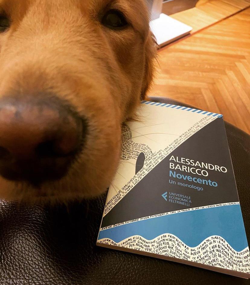 Novecento, Alessandro Baricco, Feltrinelli, recensioni libri