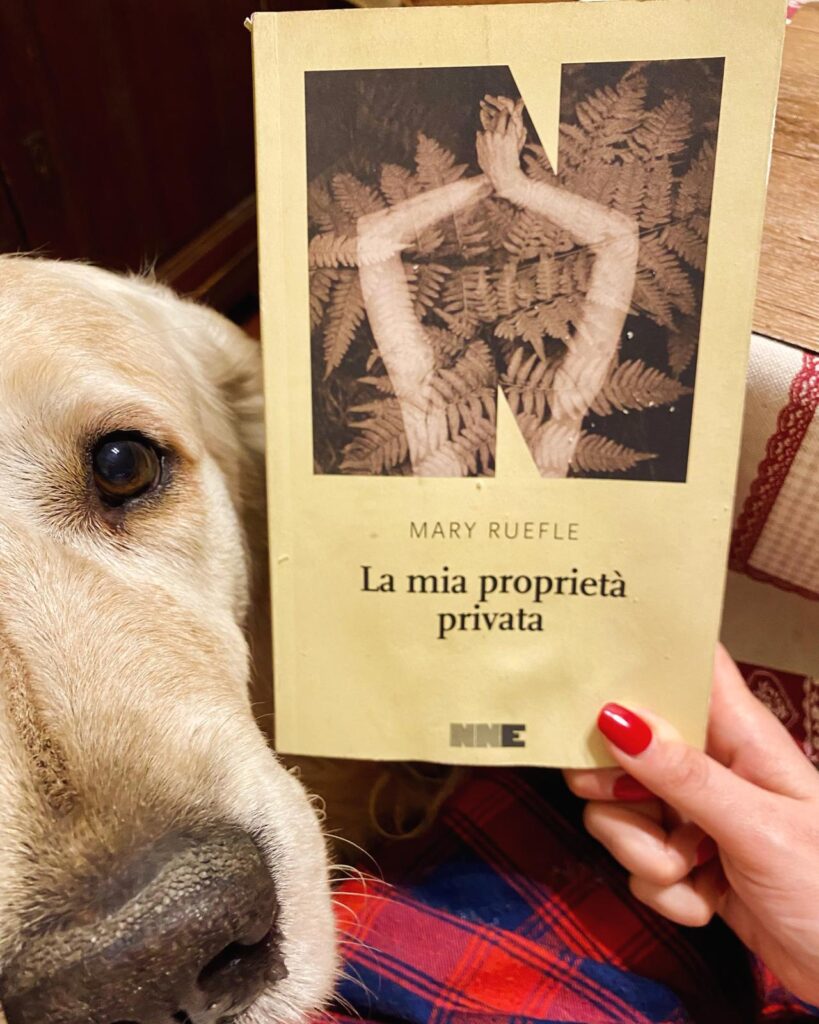 la mia proprietà privata, Mary Ruefle, NN editore, libri, recensioni libri