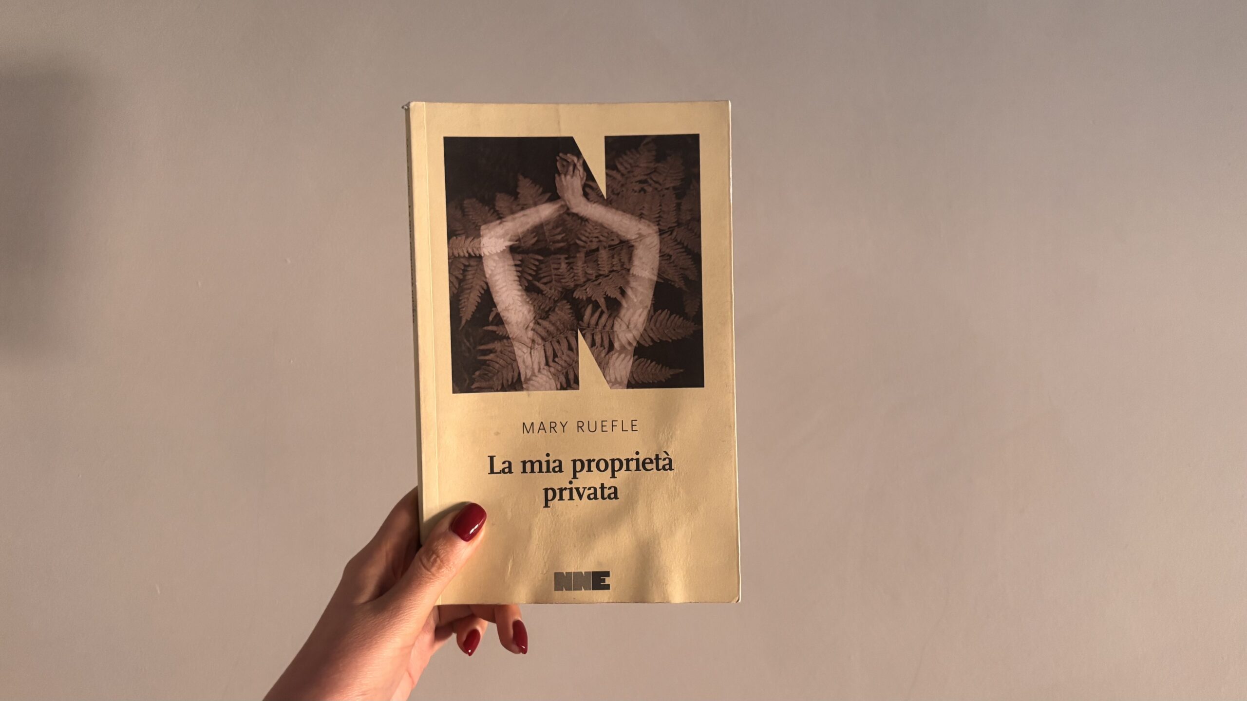 a mia proprietà privata, Mary Ruefle, NN editore, libri, recensioni libri