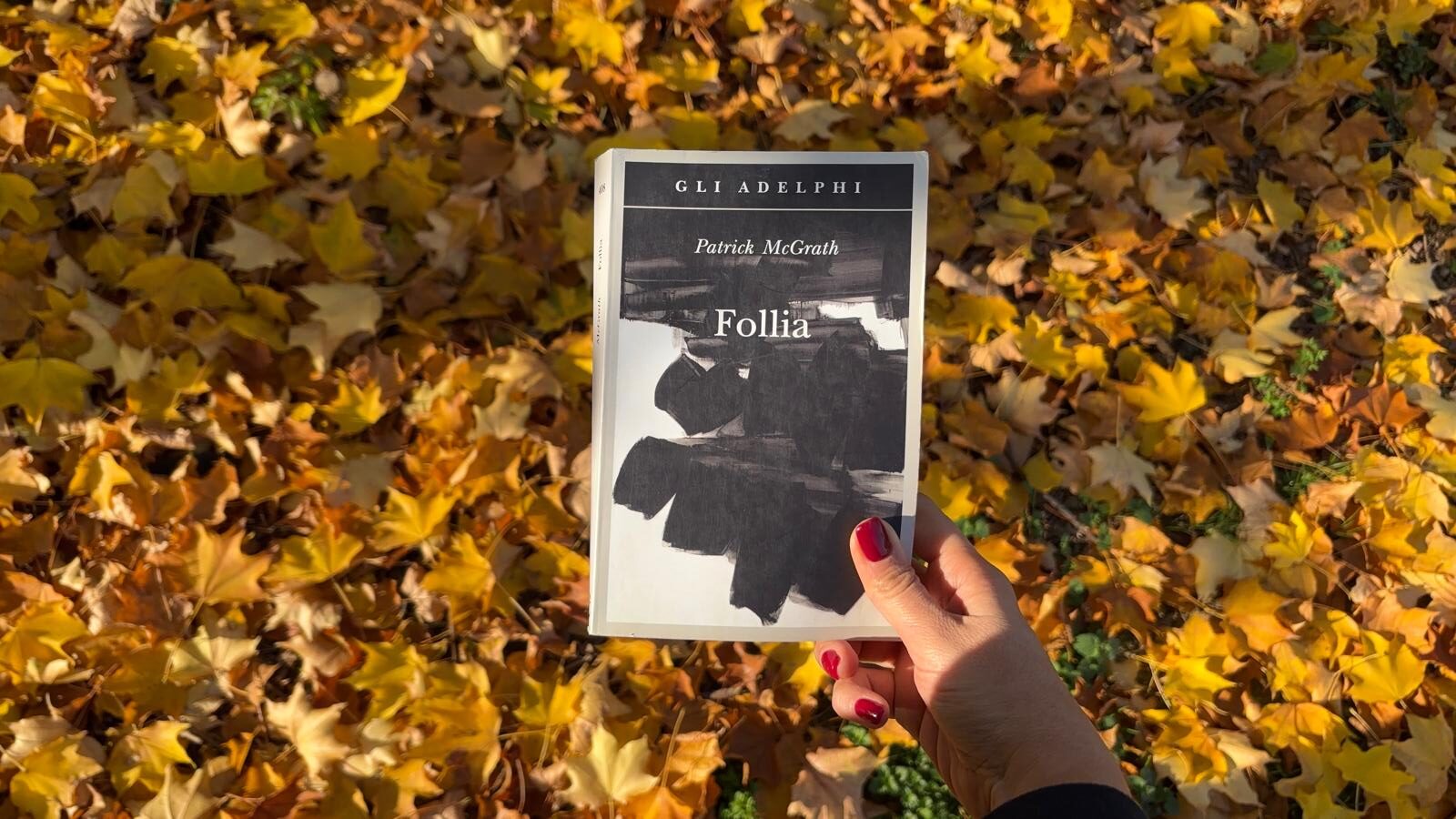 Follia, Patrick McGrath,Adelphi, libri, recensioni libri