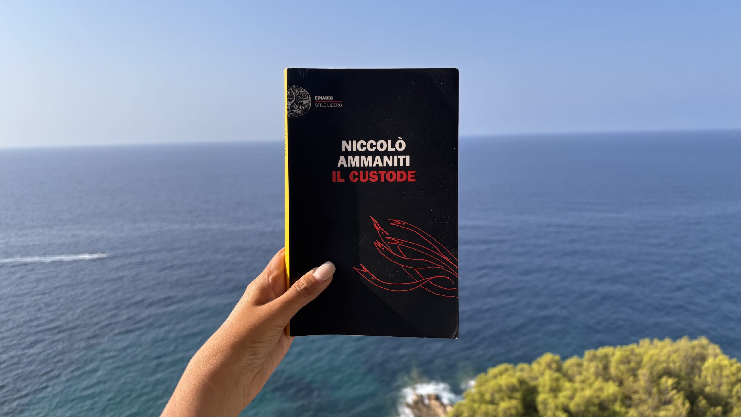 Niccolò Ammaniti, Il custode, Einaudi, libri, recensi