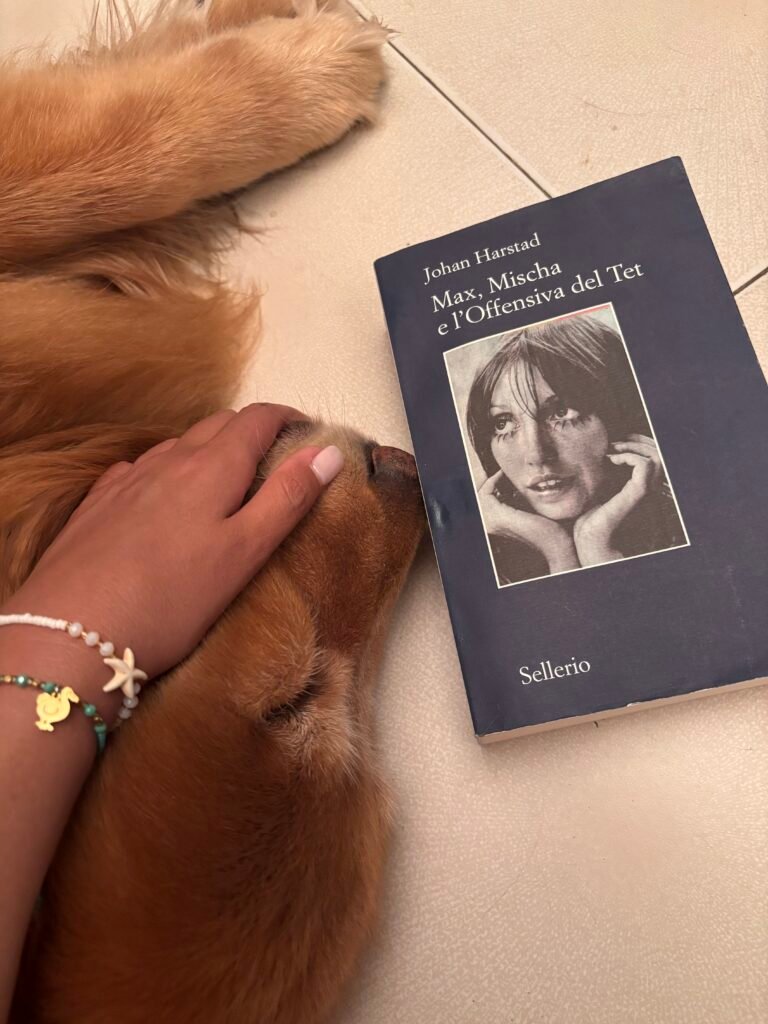Max, Mischa e l'offensiva del Tet, Sellerio, Johan Harstad, libri, recensioni libri
